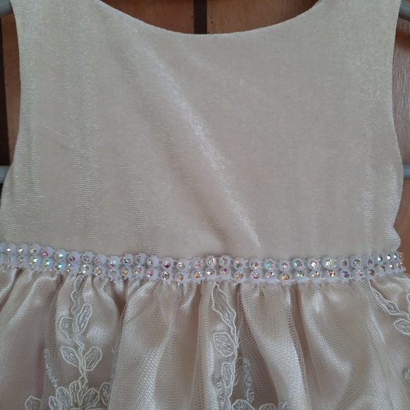 Sweet Heart Rose Cream Formal Occasion Dress - Picture 5 of 8